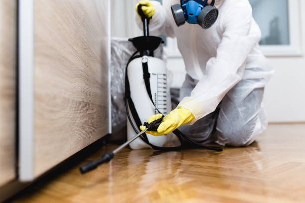 Trusted Bay Park, NY Pest Control Experts