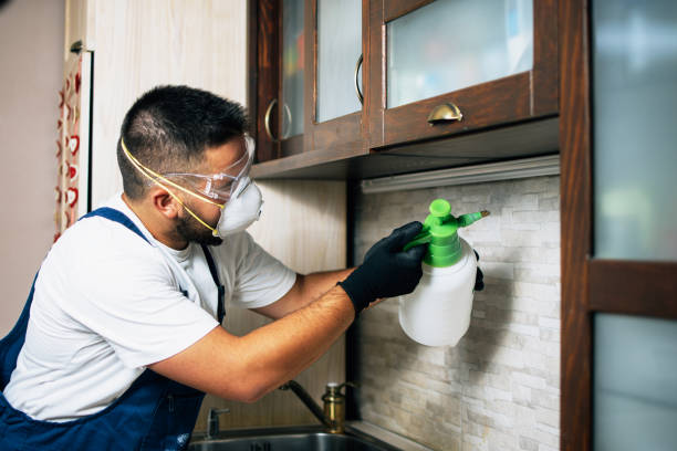 Best Residential Pest Control  in Bay Park, NY