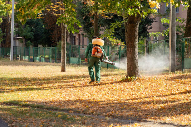 Best Flea Control Services  in Bay Park, NY