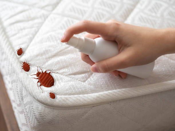 Best Exterminator Services  in Bay Park, NY