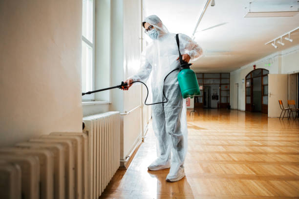 Best Pest Inspection Near Me  in Bay Park, NY