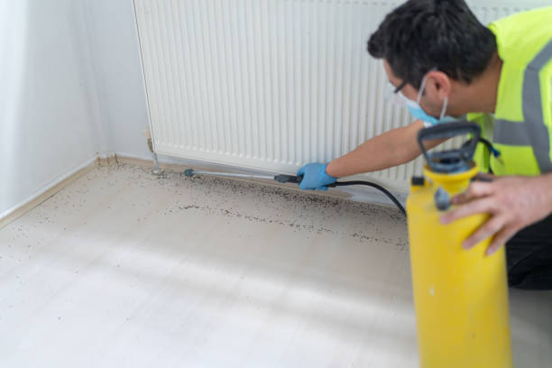 Best Pest Removal Services  in Bay Park, NY